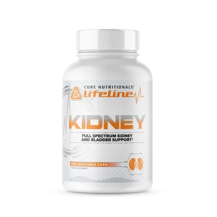 Core Kidney