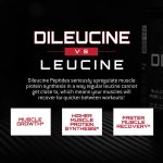 Unmatched DiLeucine - Image 4