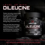 Unmatched DiLeucine - Image 5