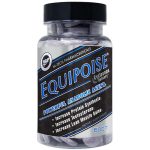 Hi Tech Equipoise
