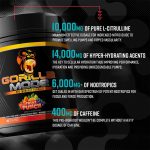 Gorilla Mode Pre Workout - Image 20