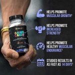 Alpha Lion RipFACTOR® - Image 3
