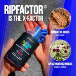 Alpha Lion RipFACTOR® - Image 4