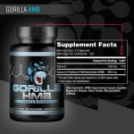 Gorilla Mind HMB - Image 4