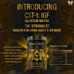CST-1: IGF Quantum Max - Image 4