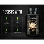 Leviathan Nutrition IRE Complete - Image 3