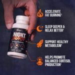 Alpha Lion Night Burn - Image 3