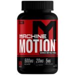 MTS Machine Motion® Joint Support