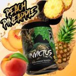 Invictus EAA Intra Workout - Image 3