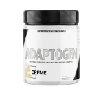 AdaptoGen - Image 5