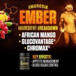 Ambrosia Ember Fat Burner - Image 3