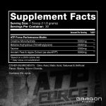 ATP Force-Super Creatine System - Image 6