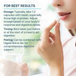 Revive Supps Betaine HCl - Image 4
