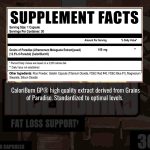 Incendiary Stage 1 (CaloriBurn GP) - Image 2