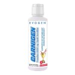 Carnigen Liquid Carnitine - Image 3