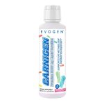 Carnigen Liquid Carnitine - Image 2