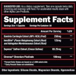 Cravings Killer Appetite Suppressant - Image 2