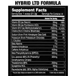 Hybrid Pre Workout - Image 6