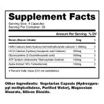 Hydra Natural Muscle Builder - Image 2