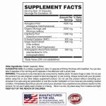 Apollon Nutrition Kidney Kindness - Image 2